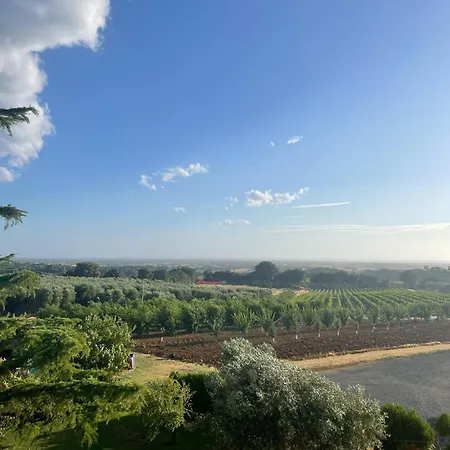 Apartment Caprareccia