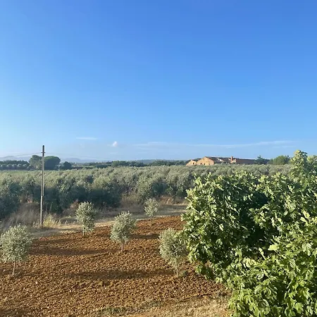 Caprareccia * Bibbona