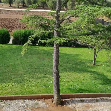 Caprareccia Apartment